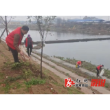 低庄镇：绿水青山映初心 志愿红护生态绿