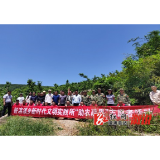 舒溶溪乡：“志愿红”助力“金果香”