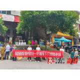 深子湖镇：联合行动点燃“美丽中国我先行”环保实践热潮