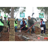 履行植树义务 共建美丽溆浦 溆浦县县直机关单位义务植树活动