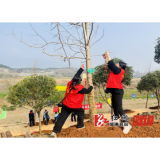 七善轩丨播种绿色希望 助力心灵康复——2026年植树节主题活动圆满开展