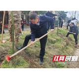 低庄镇：四都河畔植新绿 干群齐心绘春景