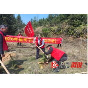 思蒙镇：一路繁花映党旗 满目新绿促振兴