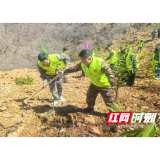中都乡:干群同心添新绿 植树造林正当时