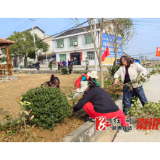 卢峰镇:党建引领植新绿 干群同心美家园