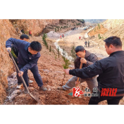 春意浓 植树正当时——深子湖镇开展2026年义务植树活动