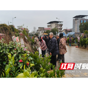 春回大地苗木俏 双井集市购销两旺