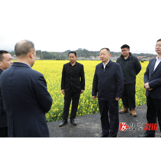 郑湘调研春耕备耕、防汛备汛工作