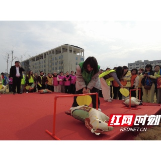 凤舞溆水绽芳华 健康同行向未来——溆浦县妇女健康运动会绘就巾帼奋进新图景