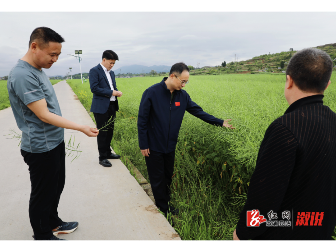 杨廉喜到乡镇调研道路交通安全整治与农业防灾减灾工作