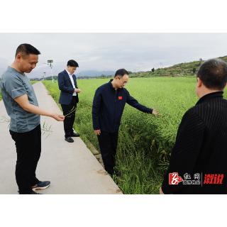 杨廉喜到乡镇调研道路交通安全整治与农业防灾减灾工作