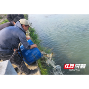 低庄镇：年年鱼跃活生态 岁岁人勤护碧波