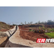 观音阁镇:排涝渠畅民无忧 消防筑池家更安