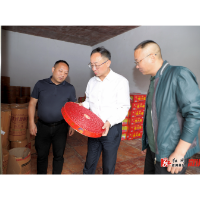 杨廉喜到乡镇督导检查安全生产工作