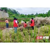 多维度传环保理念 全覆盖践绿色行动——观音阁镇扎实推进生态环保宣传工作