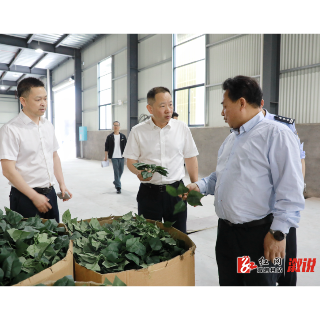 郑湘：以“时时放心不下”的责任感抓细抓实各项安全防范措施