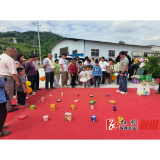 大江口镇:童心相伴 乐享乡村 清江屯村2026年庆“六一”趣味文体活动圆满举行