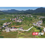 以工代赈铺就幸福路 产业帮扶点亮新生活——市工信局驻村工作队助力向家垴村乡村振兴