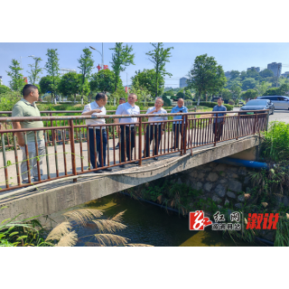 彭丁峰到乡镇调研督导生态环境保护工作