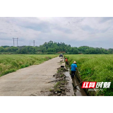 观音阁镇:清淤疏堵润良田 共建和美新乡村