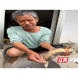 暖心接力!水东镇干群合力救助淋雨落单野生鼬獾幼崽