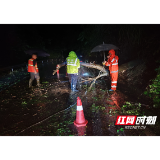 雨夜突遇树木倒伏阻断公路  公路人连夜抢险保畅通