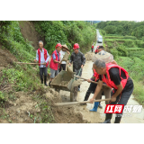 观音阁镇：干群齐心应对暴雨汛情