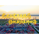 向上的力量｜党建拓宽开放格局 扬帆驶向五洲四海