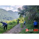 中都乡:村民自发砍青 守护山间安全路