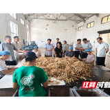 校地携手赋能“药乡”产业升级——湖南中医药大学来溆开展中药材产业调研对接