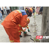 7月溆浦已接抓蛇警情超20余起 消防紧急提醒