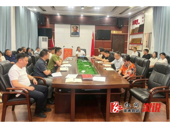 分享实战经验 凝聚奋进力量——溆浦县审计局开展业务经验分享会做实 “传帮带”