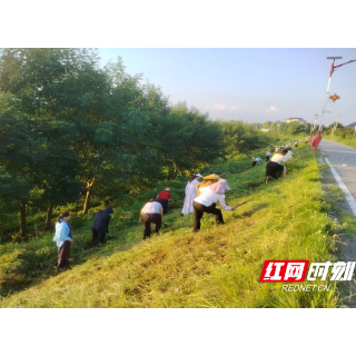 水东镇:党建引领聚合力 巾帼绽美护河岸