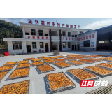 祖师殿镇：“驻点连片”兴产业 农货直供长三角