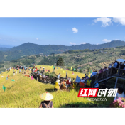 凝聚侨心促文旅 携手同心助振兴  ——溆浦县侨联在山背花瑶梯田景区举办主题活动