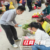水东镇开展第十六届“中国统计开放日” 宣传活动