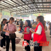 淘金坪乡：全力推进居民养老保险工作