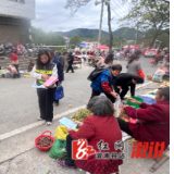 卢峰镇：筑牢反诈“防护网” 守护养老“钱袋子”