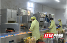 非凡“十四五”·溆浦答卷｜溆浦县：全产业链赋能 柑橘成乡村振兴“黄金果”