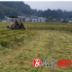 黄茅园镇:“点草成金”,科技赋能秸秆综合利用