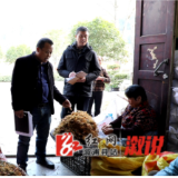 【人大代表风采】张勇：扎根基层践初心 履职为民显担当