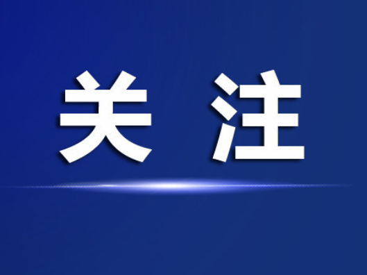 心相近｜“习主席提出的倡议让我们得以感知中国、爱上中国”