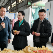 韦朝晖：在建设五省边际区域性中心城市中展现更大作为