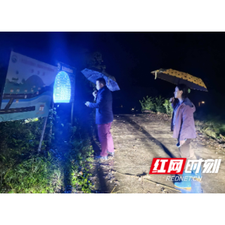 桥江镇：闻“汛”而动 连夜筑牢汛期安全防线