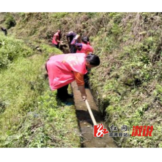 中都乡沙溪村：志愿服务清渠道 水润良田保春耕