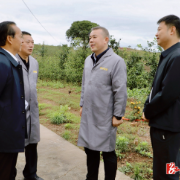 培育和发展溆浦鹅全产业链 做大做强特色富民产业——彭丁峰实地调研溆浦鹅产业发展情况并召开座谈会