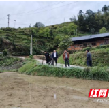 督项目 看成效 惠民生——三江镇人大代表实地督查高标准农田建设