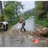 闻汛而动保畅通 深子湖镇全力抢修汛期受损道路