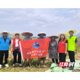 秸秆还田变废为宝 守护生态绿色家园——溆浦县同心公益开展秸秆禁烧专项科普志愿服务活动