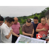 溆浦至洞口高速公路进行工程可行性研究评审前现场踏勘